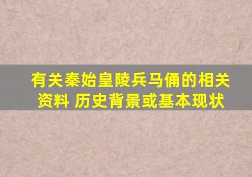 有关秦始皇陵兵马俑的相关资料 历史背景或基本现状